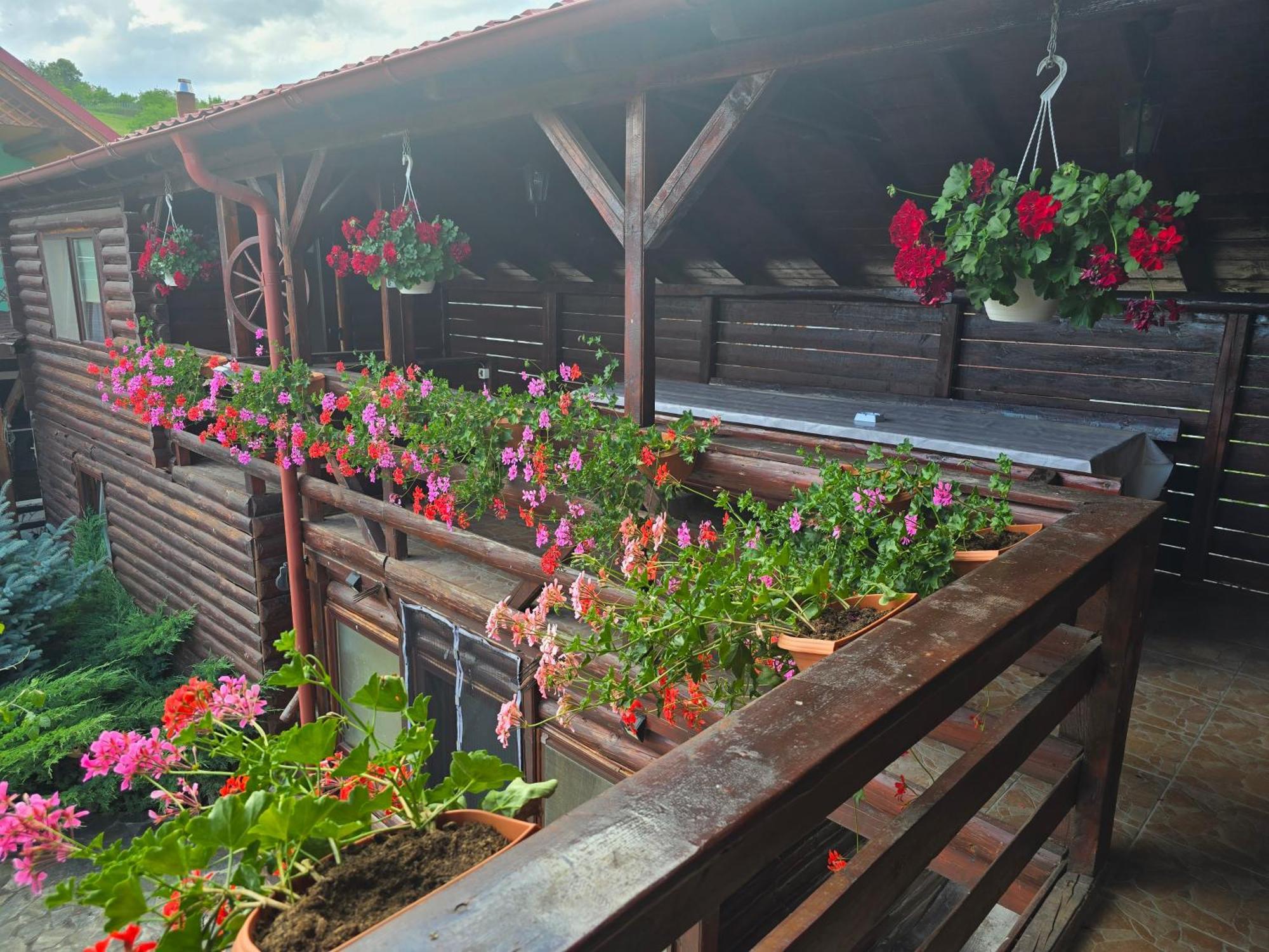 Casa Baciu Villa Turda Buitenkant foto